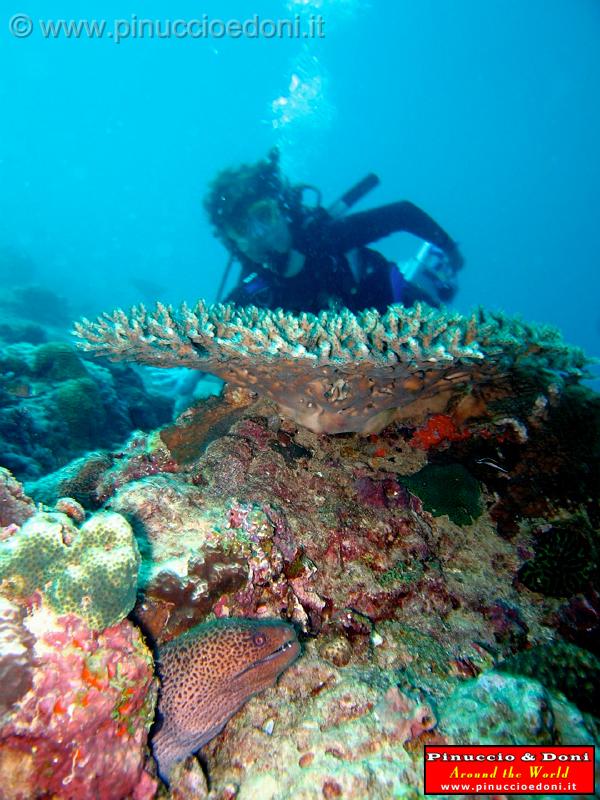 Djibouti - 585.jpg